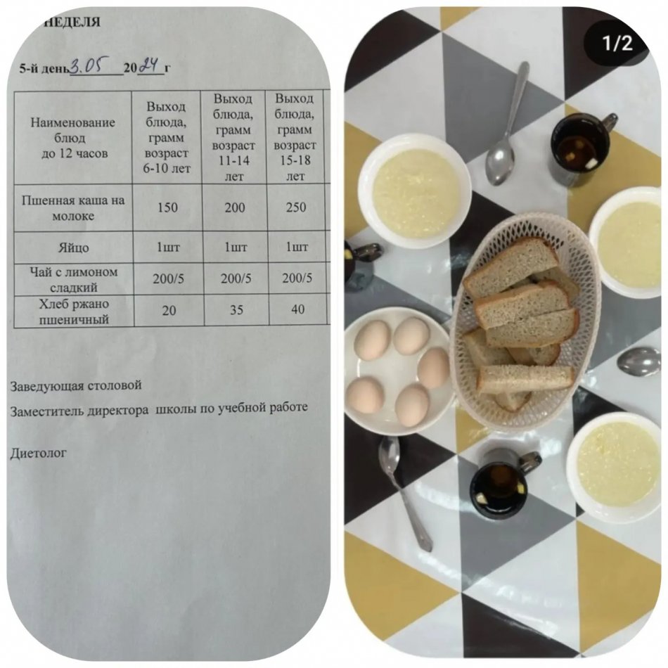 3.05.2024 Ытық тамақ